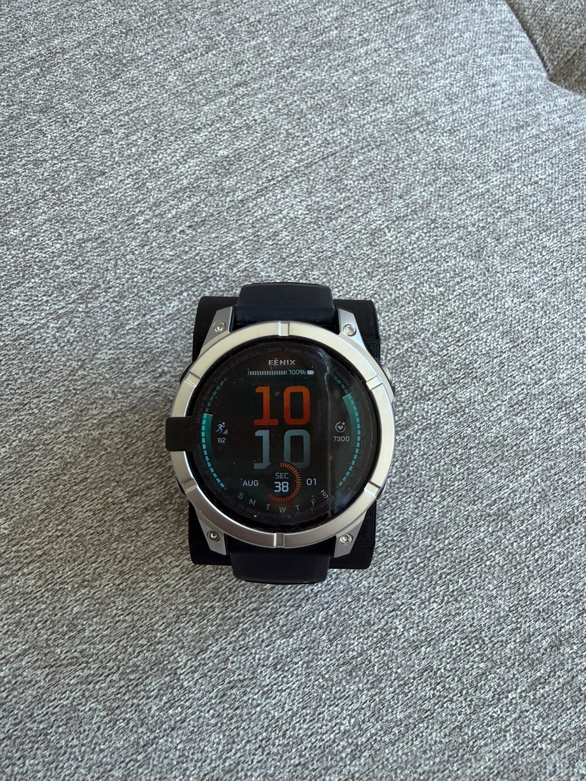 Garmin Fenix E 47mm plata sin caja
